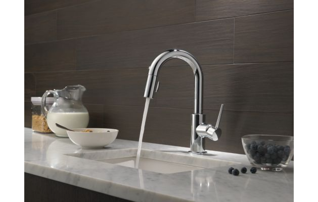 Trinsic® Kitchen Collection | Delta Faucet